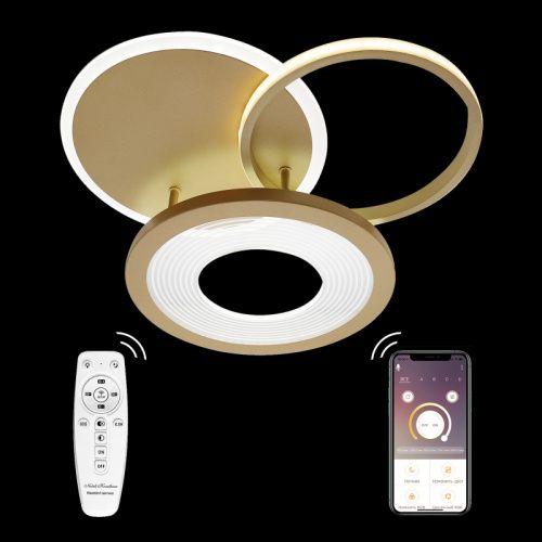 Люстра потолочная Natali Kovaltseva LED LAMPS (ЛЕД ЛАМПС) LED LAMPS 81300