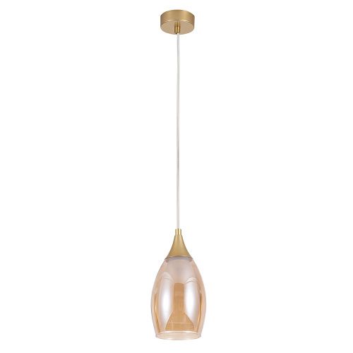 Светильник подвесной Arte Lamp Barry (Барры) A7951SP-1GO