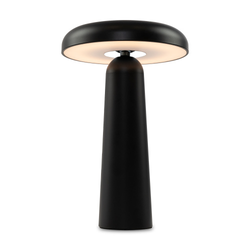Настольная лампа Freya Mushroom (Гриб) FR6109TL-L4B