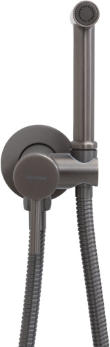 Гигиенический душ со смесителем Allen Brau Priority 5.31A29-MG встраиваемый в стену серый