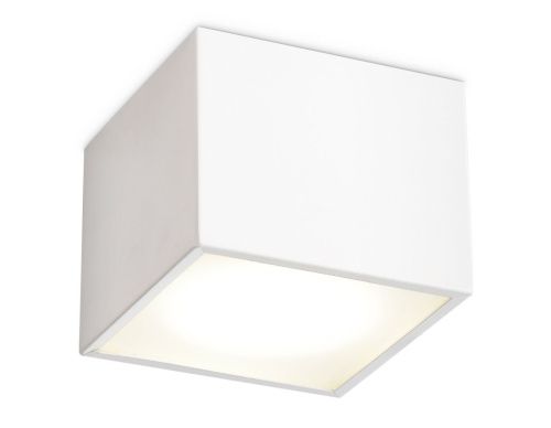 Светильник накладной Ambrella Light IP Protect (ИП Протецт) TN6530
