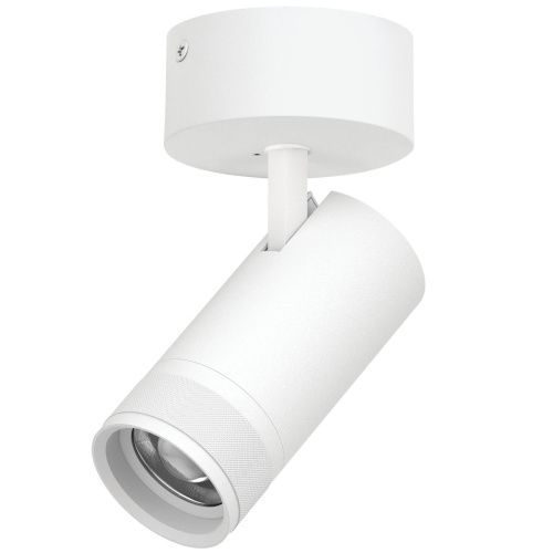 Светильник накладной Lightstar Canno Pro (Цанно Про) C4306SO