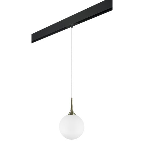 Трековый светильник Lightstar Globo (Глобо) PRO813031
