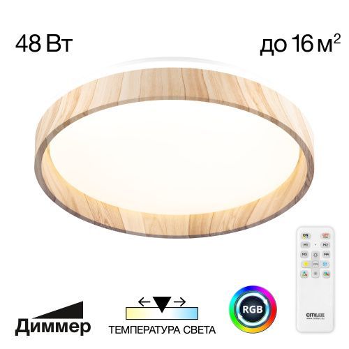 Светильник потолочный музыкальный Citilux Enzo (Ензо) CL753352G