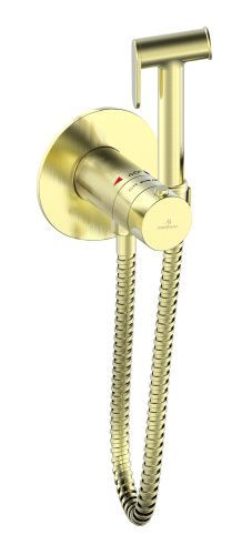 Гигиенический душ со смесителем AltroBagno BM AltroBagnoOggetto060403BG золото матовое