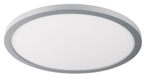 Настенно-потолочный светильник Toplight Megan (Меган) TL1131-1Y