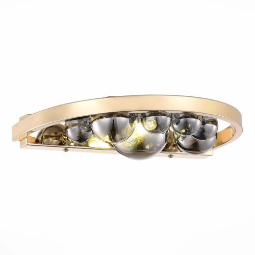 Светильник настенный ST Luce Olmi (Олми) SL1510.201.01