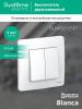 Выключатель 2-клавишный 10А Systeme Electric Blanca (Бланца) BLNVS010501