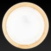 Светильник настенный Toplight Irma (Ирма) TL9073Y-02PN