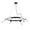 Люстра подвесная Lightstar RULLO (РУЛЛО) LR0163638630