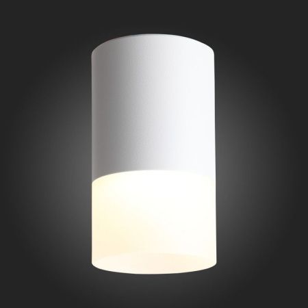 Светильник накладной ST Luce OTTU (ОТТУ) ST100.502.05