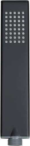Душевая лейка Allen Brau Infinity 5.21022-31 черный - фото 2