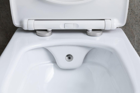 Чаша унитаза подвесная Allen Brau Liberty 4.33009.20 цвет белый без сиденья безободковая каскадный смыв