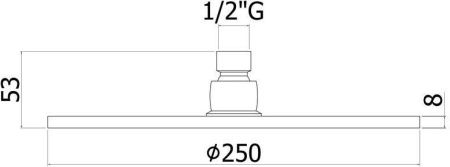 Верхний душ с держателем Paffoni Master Speciale ZSOF101CR + ZSOF034CR 25х40 хром