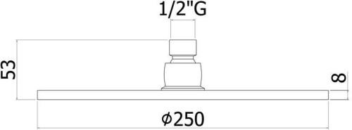 Верхний душ с держателем Paffoni Master Speciale ZSOF101CR + ZSOF034CR хром - фото 4