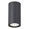 Уличный потолочный светильник ST Luce Tubo (Тубо) SL9514.702.01