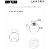 Светильник потолочный iLamp Mono (Моно) C6079-1 BK+SM