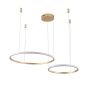 Люстра подвесная Zortes Ringolight (Ринголигхт) ZRS.33320.63F