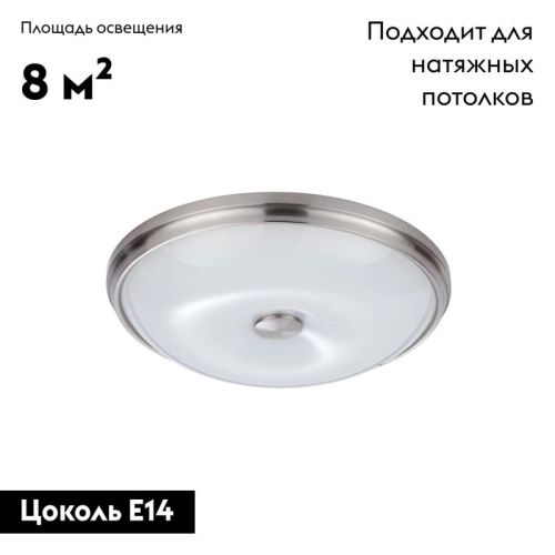 Настенно-потолочный светильник Odeon Light Pelow (Пелов) 4957/4 - фото 2