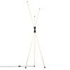 Торшер Citilux Lucia (Луциа) CL217961
