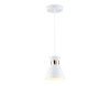 Светильник подвесной Ambrella Light Loft (Лофт) TR8465