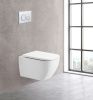 Унитаз подвесной BelBagno ALPINA BB10100CHR/SC белый с сиденьем микролифт безободковый каскадный смыв