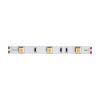 Светодиодная лента Maytoni Led Strip 10120