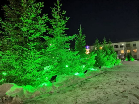 Прожектор светодиодный SignImpress TGD 30W Green