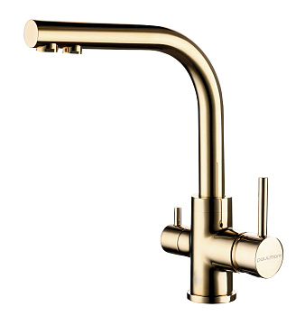 Смеситель для кухни Paulmark ESSEN Es213011-G на раковину золото