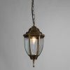 Уличный подвесной светильник Arte Lamp Pegasus (Пегасус) A3151SO-1BN
