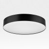 Светильник накладной Citilux Bart (Барт) CL755391