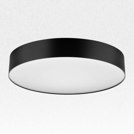 Светильник накладной Citilux Bart (Барт) CL755391