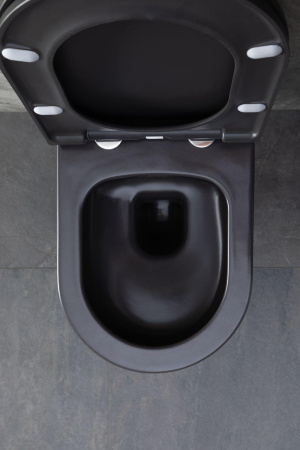 Чаша унитаза подвесная Allen Brau Priority 4.31001.AN цвет черный без сиденья безободковая каскадный смыв