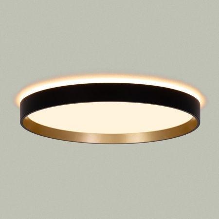 Светильник потолочный музыкальный Citilux Etalon (Еталон) CL750321R