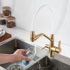 Смеситель для кухни Rose R558G на мойку золото