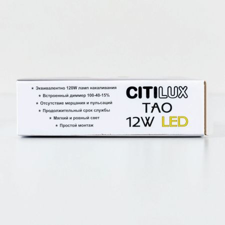 Светильник накладной Citilux Тао CL712120N