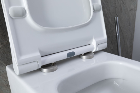 Чаша унитаза подвесная Allen Brau Priority 4.31001.20 цвет белый без сиденья безободковая каскадный смыв