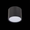 Светильник потолочный ST Luce Rene (Рене) ST113.442.09