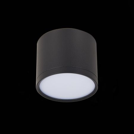 Светильник потолочный ST Luce Rene (Рене) ST113.442.09