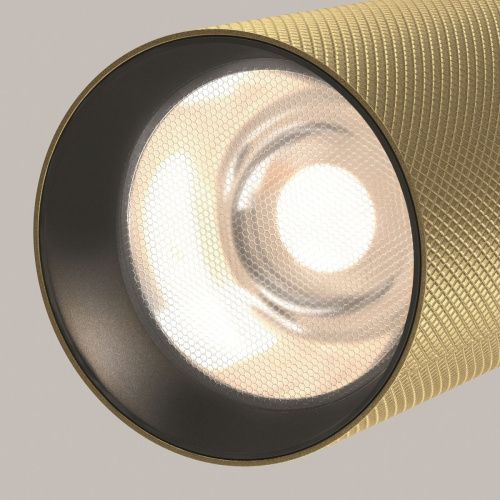 Светильник трековый Maytoni Technical Artisan TR097-2-12W4K-M-BMG - фото 4