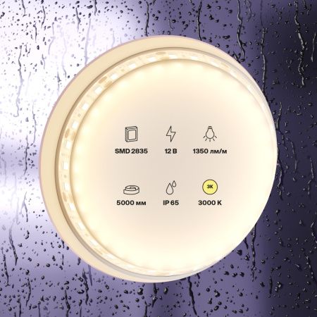 Светодиодная лента Maytoni Led Strip 10117