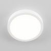 Светильник накладной Citilux Галс CL5522N
