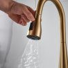 Смеситель для кухни Shevanik S363G на мойку золото