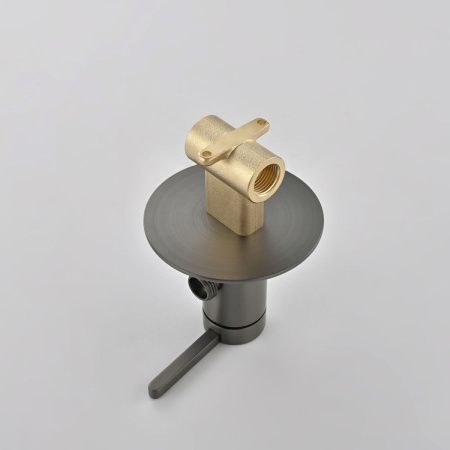 Гигиенический душ со смесителем Rose R235T оружейная сталь