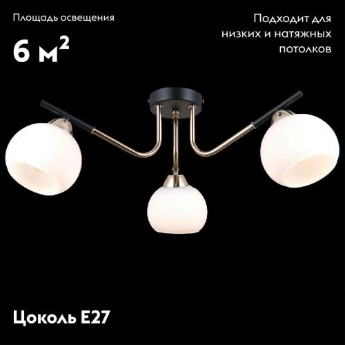 Люстра потолочная Illumico IL0713-3CSQ-24 BK FGD LIBRA - фото 4