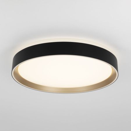 Светильник потолочный музыкальный Citilux Boss (Босс) CL751351G