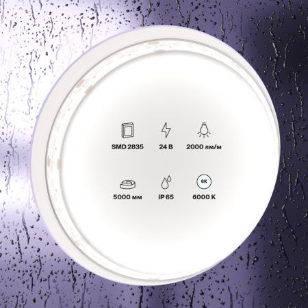 Светодиодная лента Maytoni Led Strip 10159