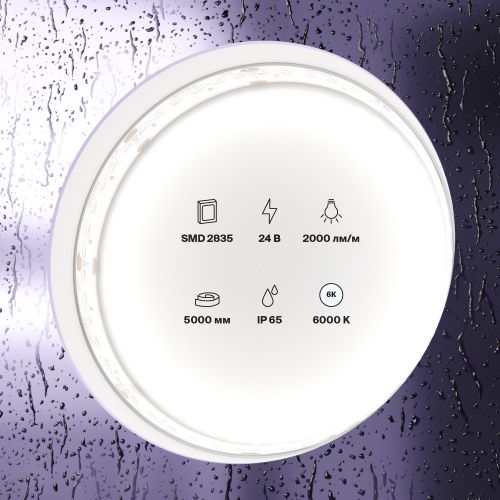 Светодиодная лента Maytoni Led Strip 10159 - фото 3