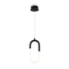 Светильник подвесной Freya Magnet (Магнит) FR6106PL-L13B