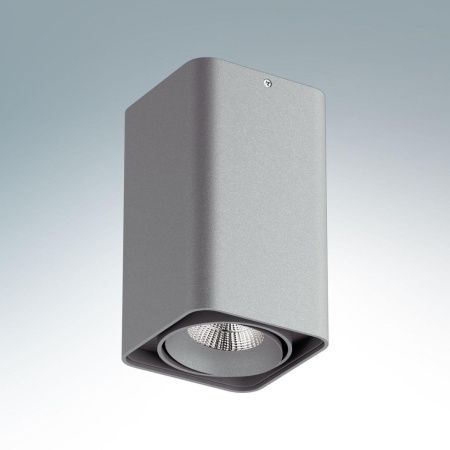 Светильник накладной Lightstar Monocco (Моноццо) 52139